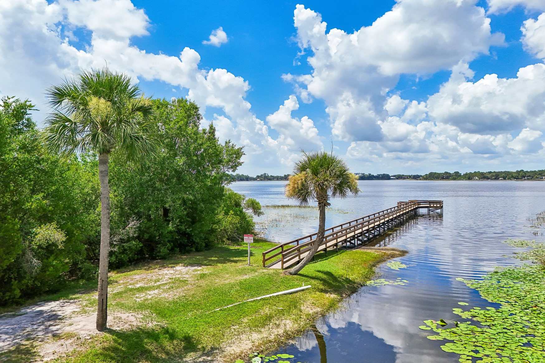 Lake Joanna shoreline and wooden pier framed by palms