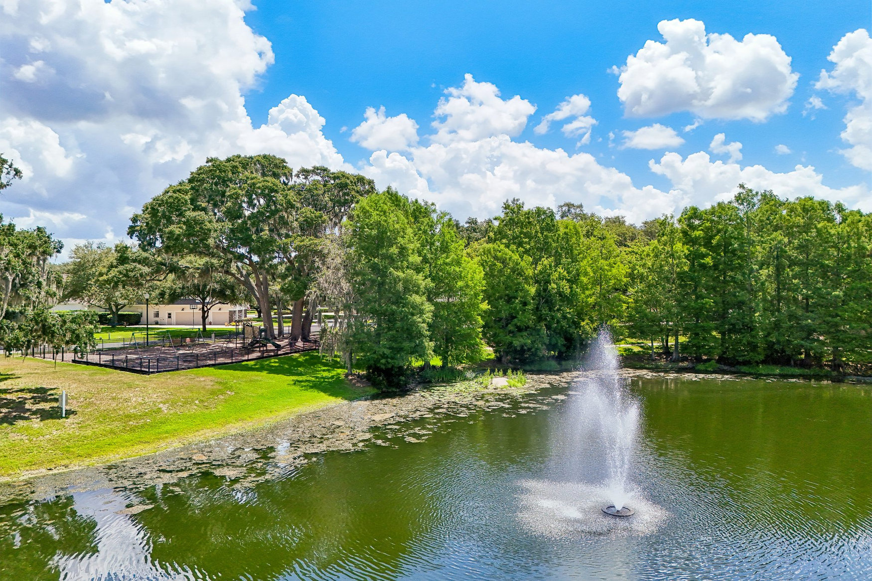 Neighborhood pond and fountain